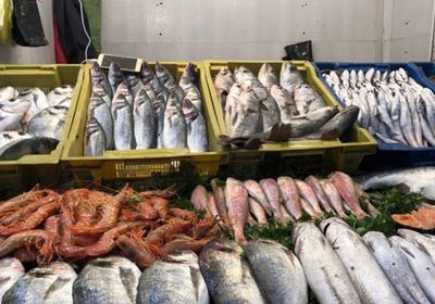 آلية لتنظيم تداول المنتجات السمكية في الأسواق
