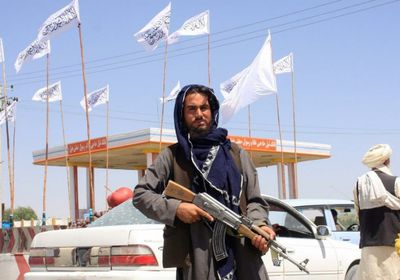 سياسي عن القاعدة وطالبان: الإرهاب ملة واحدة