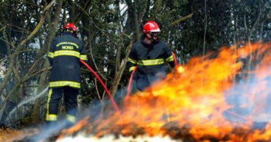 الجزائر: تمكنا من إخماد جميع الحرائق في البلاد