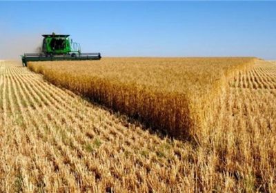  روسيا: ارتفاع صادرات المنتجات الزراعية بنسبة 18%