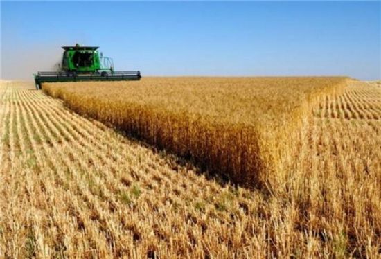  روسيا: ارتفاع صادرات المنتجات الزراعية بنسبة 18%