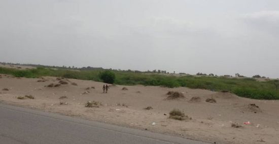 مليشيا الحوثي تشن هجومًا على الفازة والجبلية