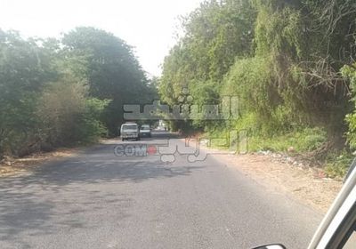 نفق أبين الأخضر يتصحر بإهمال الشرعية الممنهج