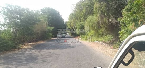 نفق أبين الأخضر يتصحر بإهمال الشرعية الممنهج