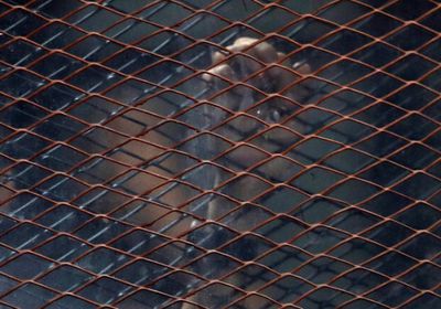  مصر.. ضبط رجل أعمال يتاجر بالنقد الأجنبي