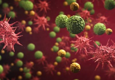 113 إصابة نشطة بـ "كورونا" في ساحل حضرموت