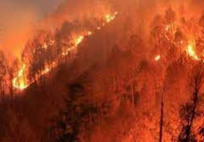 البرازيل: منطاد يتسبب في حريق ضخم بمحمية طبيعية