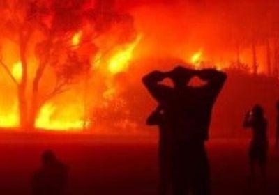 بوتين يتعهد بتقديم ملايين الدولارات لمكافحة حرائق الغابات