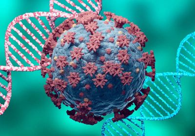 13 إصابة و5 متعافين من كورونا في ساحل حضرموت