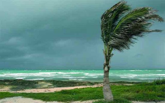 استمرار تدفق الرياح الموسمية على سقطرى     