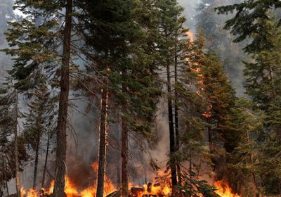  أمريكا.. طوارئ في كاليفورنيا بسبب الحرائق