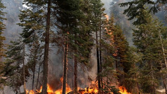  أمريكا.. طوارئ في كاليفورنيا بسبب الحرائق