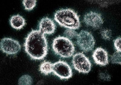 4 وفيات جديدة.. إصابات كورونا تتجاوز الـ 50