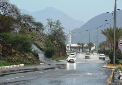 استمرار هطول الأمطار على مناطق بالسعودية