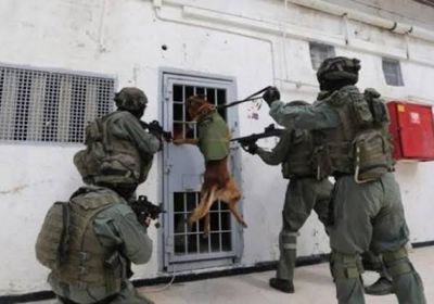 فلسطين تطالب بحماية الأسرى من انتهاكات الاحتلال