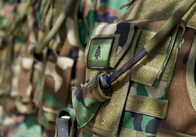 الجيش اللبناني يحبط عملية تهريب أشخاص عبر البحر