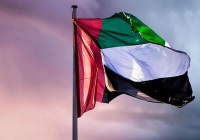 الإمارات تستنكر استمرار الهجمات الحوثية الإرهابية