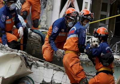  المكسيك.. استئناف البحث عن ضحايا الانهيار الصخري