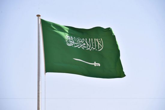 سياسي: السعودية تحارب الفساد والإرهاب