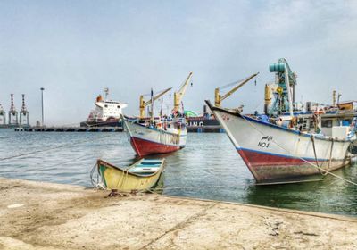 افتتاح مركز الإنزال السمكي في المعلا