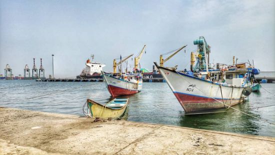 افتتاح مركز الإنزال السمكي في المعلا