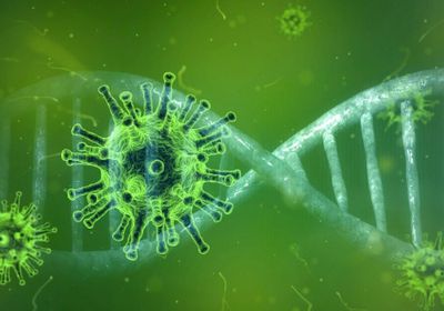 29 متوفيًا ومصابًا جديدًا بـ "كورونا"