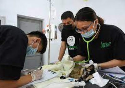 الشهر المقبل.. فيتنام تعتزم استقبال المطعمين بلقاح كورونا