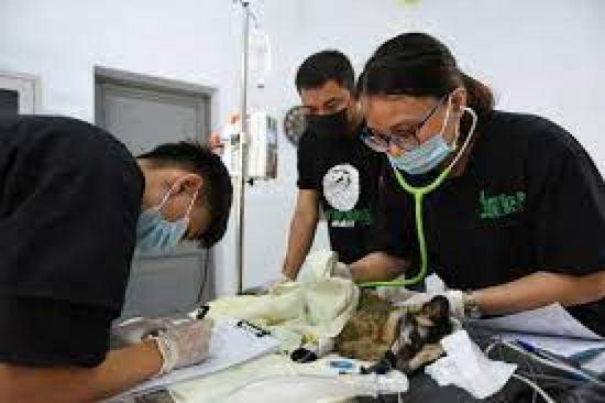 الشهر المقبل.. فيتنام تعتزم استقبال المطعمين بلقاح كورونا