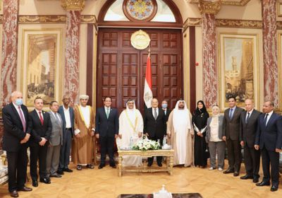 العسومي يلتقي رئيس مجلس الشيوخ المصري