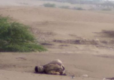 مقتل قيادي حوثي في مواجهات بالتحيتا