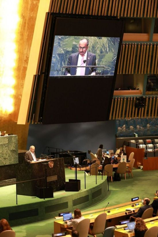 الإمارات: نعول على موقف دولي واضح يرفض التدخلات في شؤون الدول العربية