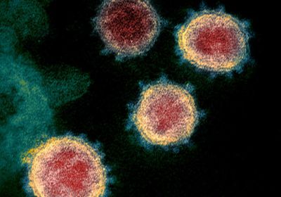6 وفيات و23 إصابة جديدة بفيروس كورونا