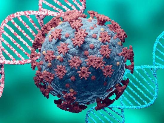 5 فئات مستهدفة بحملات التحصين ضد كورونا