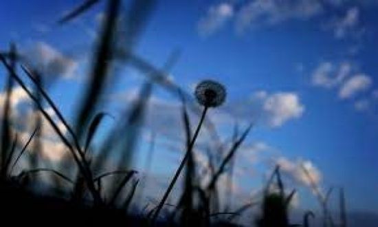 أجواء صحوة إلى غائمة جزئيًا غدًا