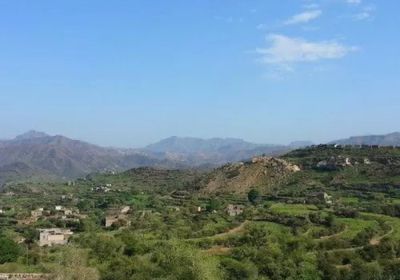 معلم إخواني مديرًا لأمن المعافر في تعز