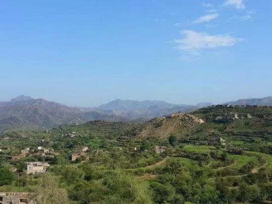 معلم إخواني مديرًا لأمن المعافر في تعز