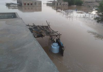 مناشدات لإنقاذ منكوبي السيول في أحور 