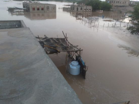 مناشدات لإنقاذ منكوبي السيول في أحور 