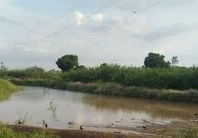 ري 5 آلاف فدان بمياه السيول في لحج