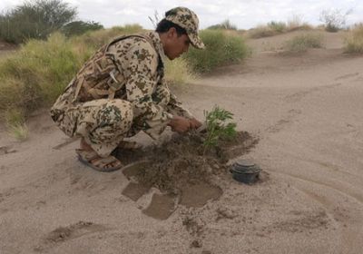 نزع عشرات الألغام الحوثية في حيس