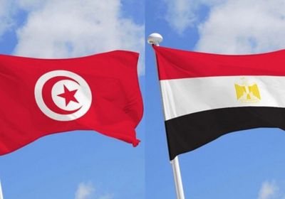 مصر: ندعم ونساند الحكومة التونسية الجديدة