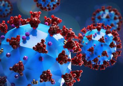 تراجع إصابات كورونا اليومية لـ 10 حالات