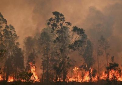  التغيرات المناخية تتسبب في مقتل أكثر من 500 أمريكي