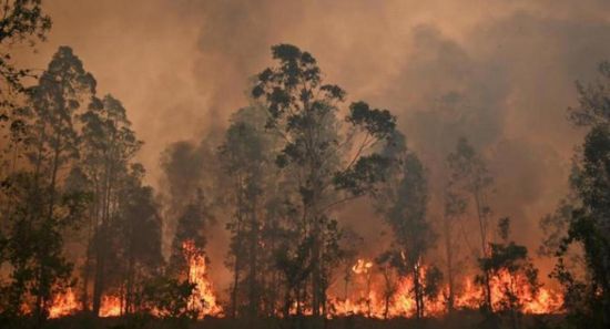  التغيرات المناخية تتسبب في مقتل أكثر من 500 أمريكي