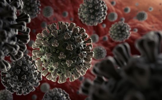 لجنة كورونا: 33 ضحية جديدة للفيروس