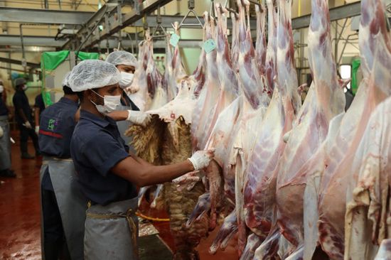 رقابة على أسعار اللحوم بعدن.. وقرار بتغريم المخالفين للتسعيرة