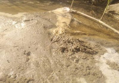 جراء التسرب النفطي.. كارثة بيئية تخيم على الروضة