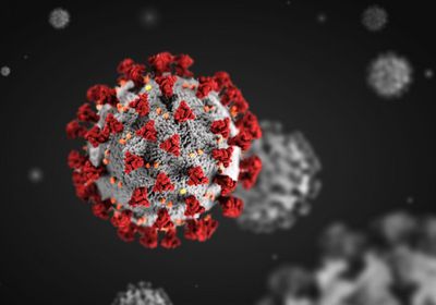 "مكافحة كورونا": تسجل 4 وفيات و15 إصابة