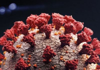 إعلان أكبر حصيلة يومية للمتعافين من "كورونا"