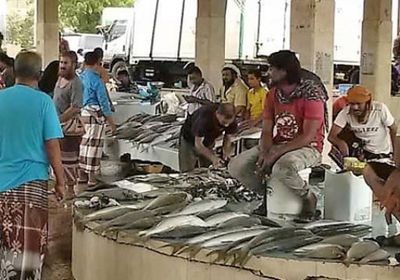 تسعيرة بيع الأسماك في العاصمة عدن